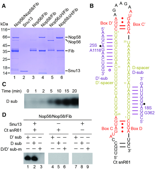 Figure 1.