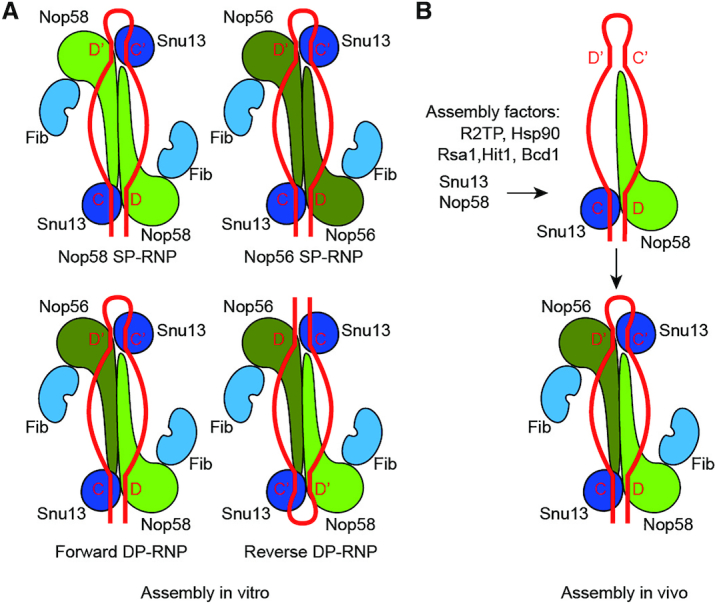 Figure 7.