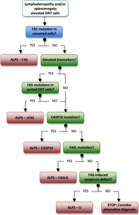 Revised diagnostic criteria and classification for the autoimmune ...