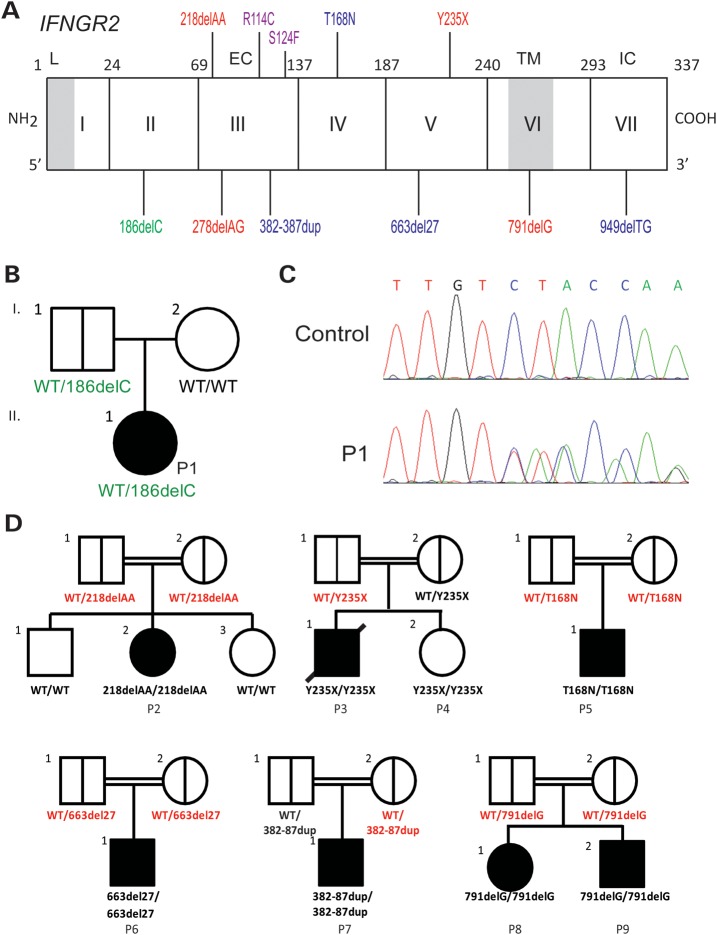 Figure 1.