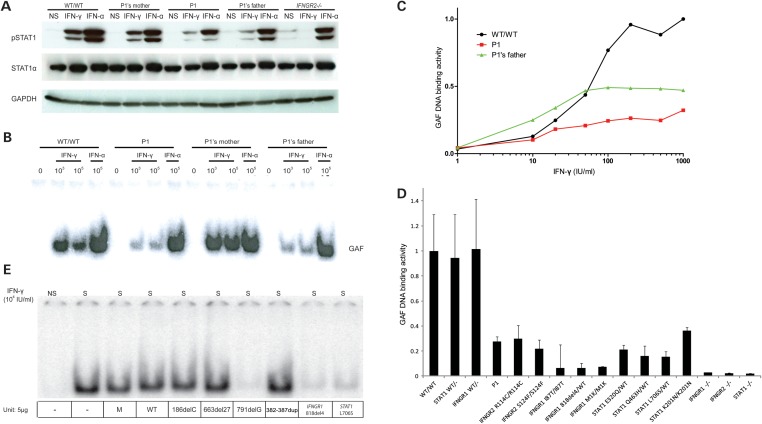 Figure 2.