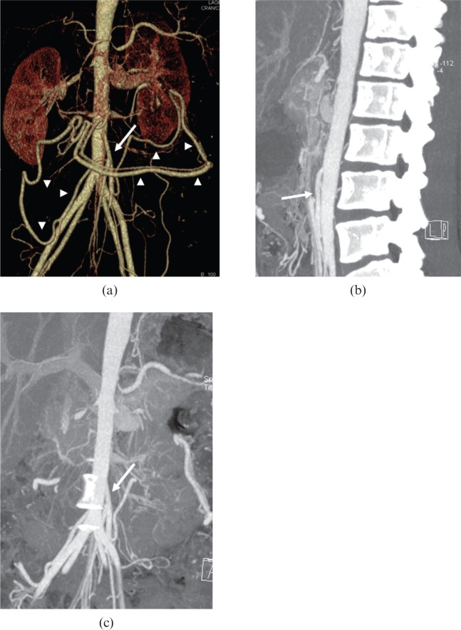 Figure 10