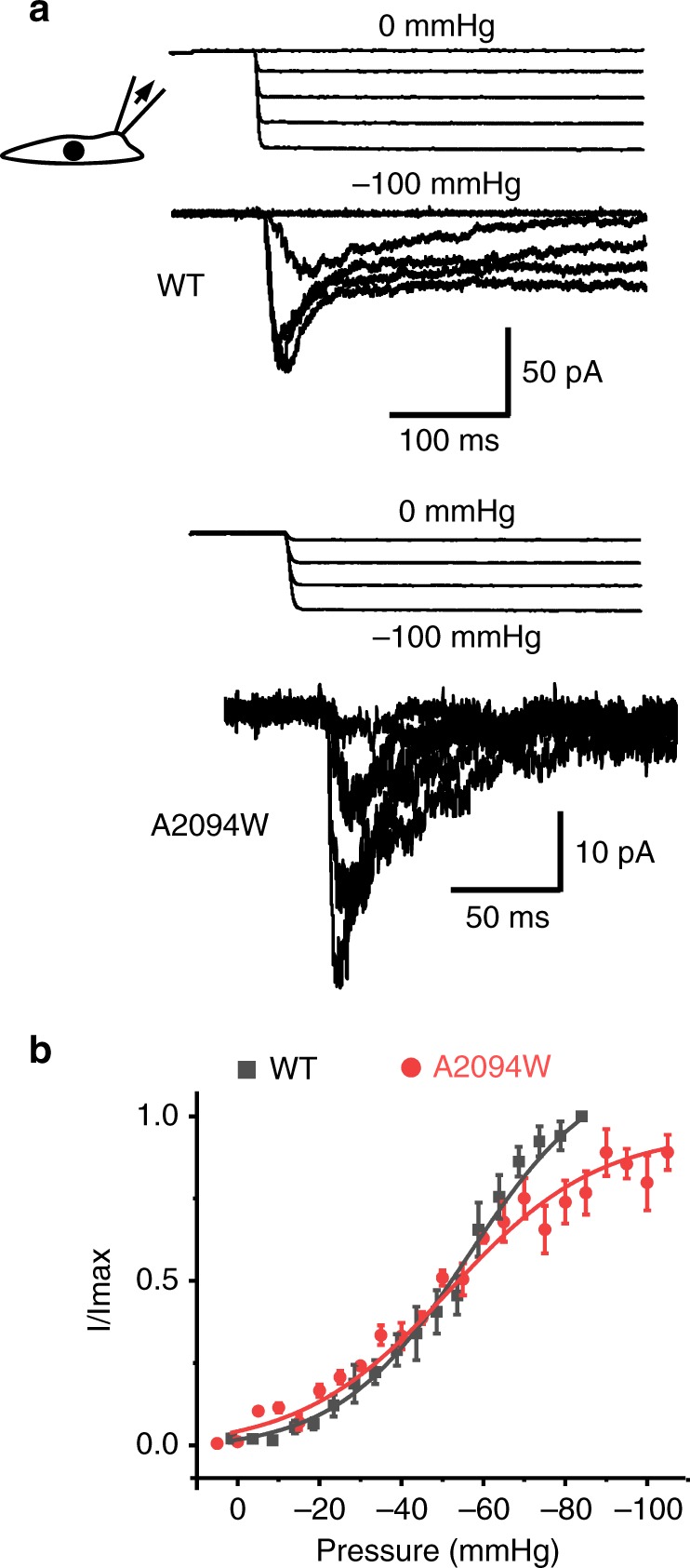 Fig. 3