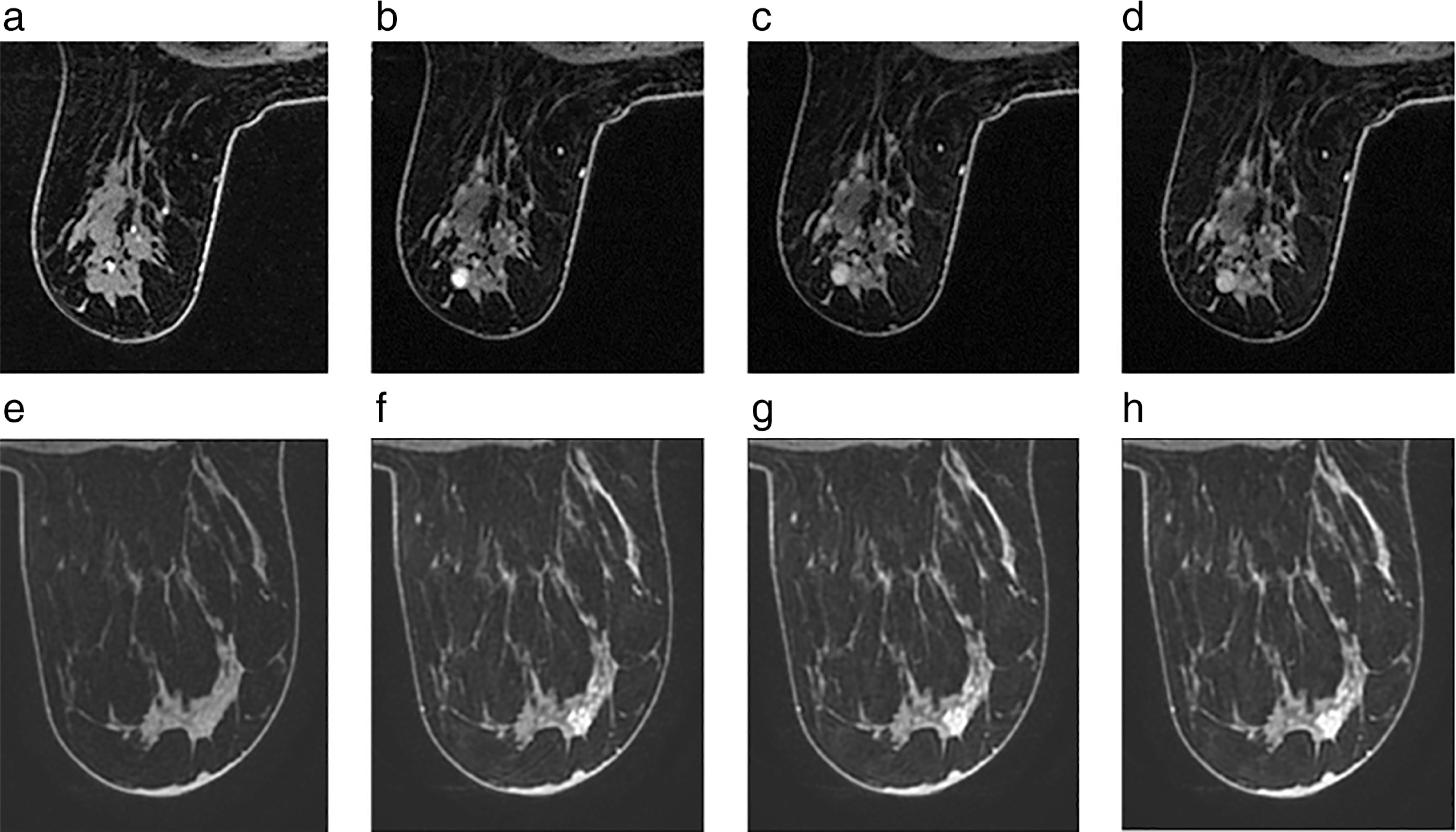 FIGURE 1: