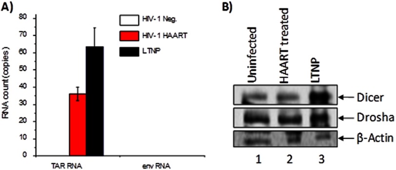 FIGURE 10.