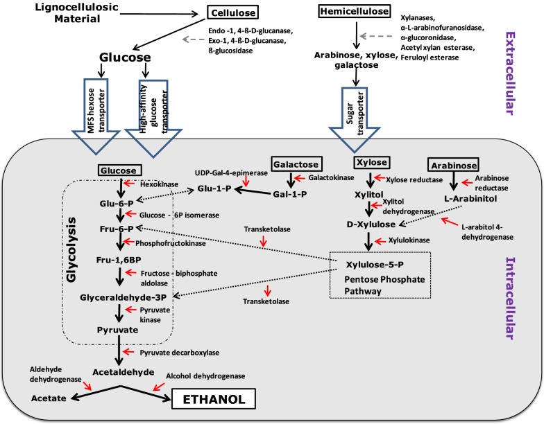 Fig. 2