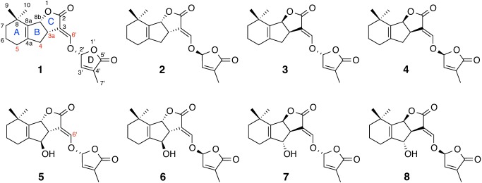 Fig. 1. Chemical structures of stereoisomers of 4-deoxyorobanchol (1–4) and orobanchol (5–8). Deuterated positions in d6-deoxyorobanchol and d1-orobanchol are shown in red.