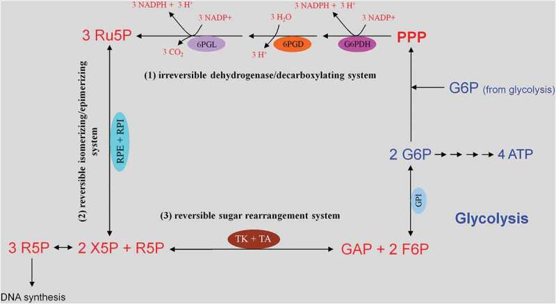 Figure 3.