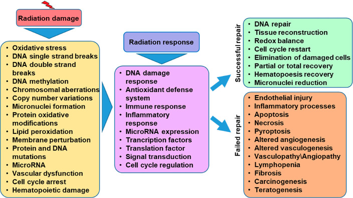 Figure 20