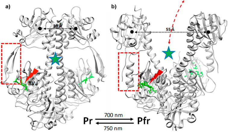 Figure 21