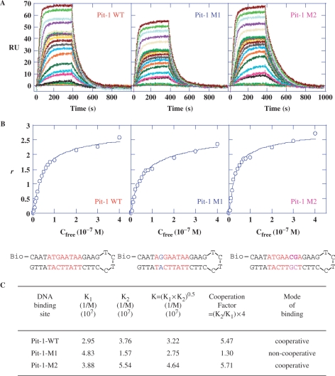 Figure 6.