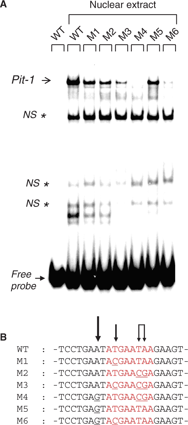 Figure 7.