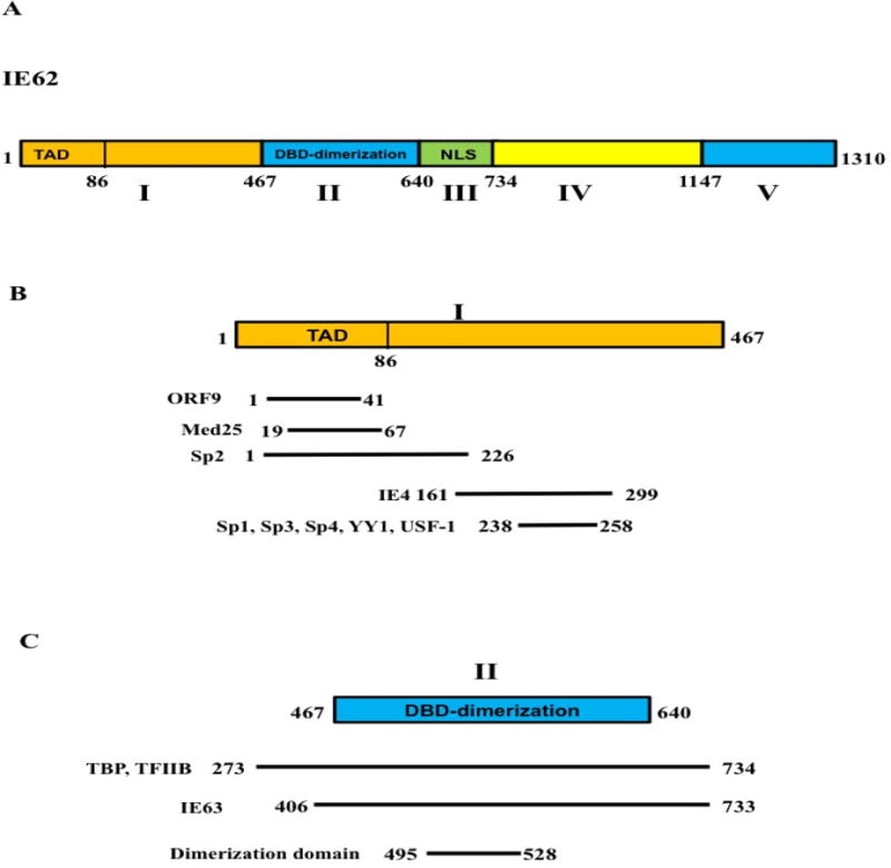 FIG. 1