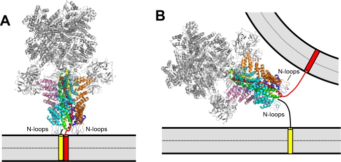 Figure 7.