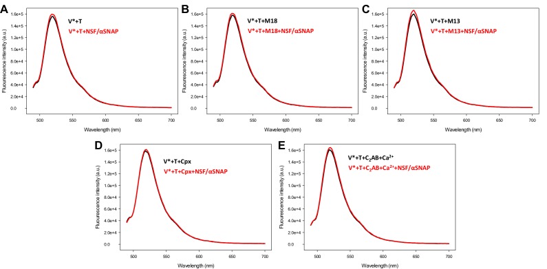 Figure 5—figure supplement 2.