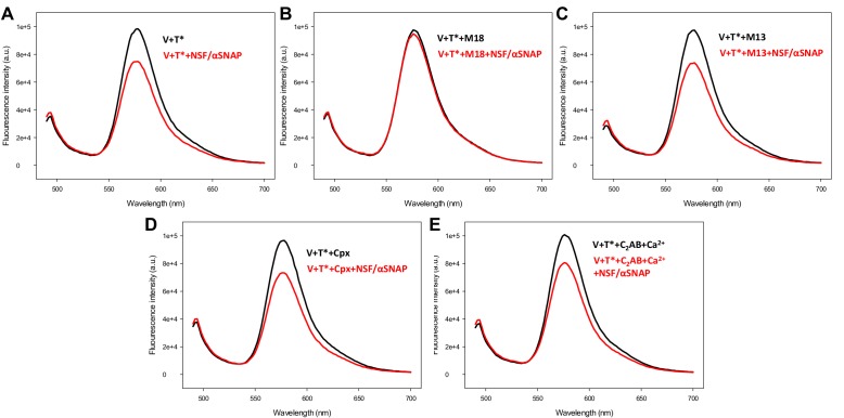 Figure 5—figure supplement 3.