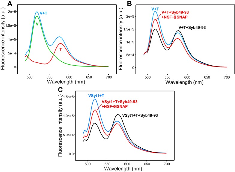 Figure 2—figure supplement 4.