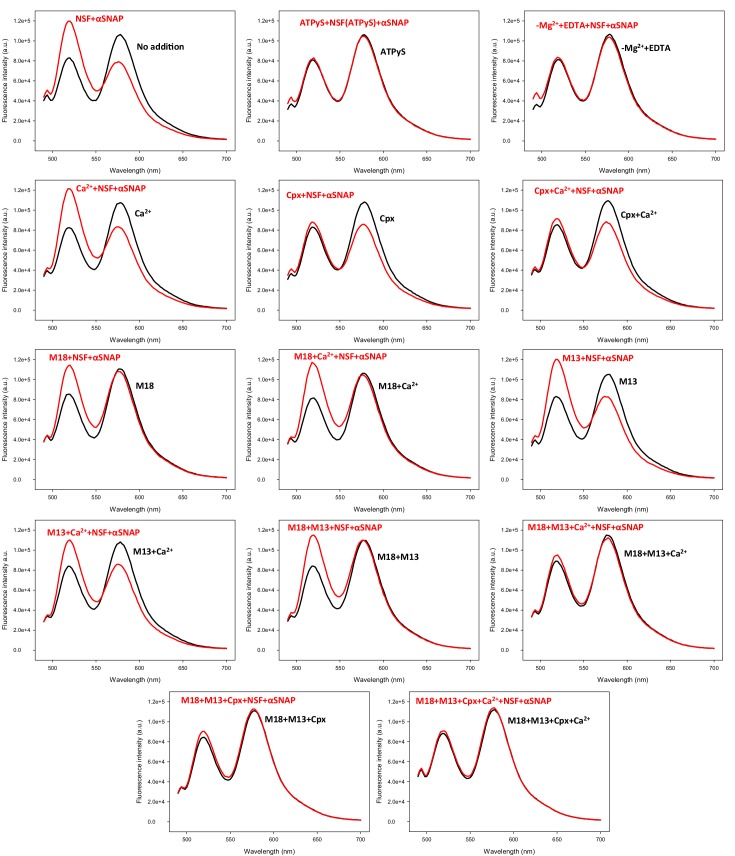 Figure 5—figure supplement 4.