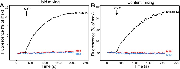 Figure 3—figure supplement 2.