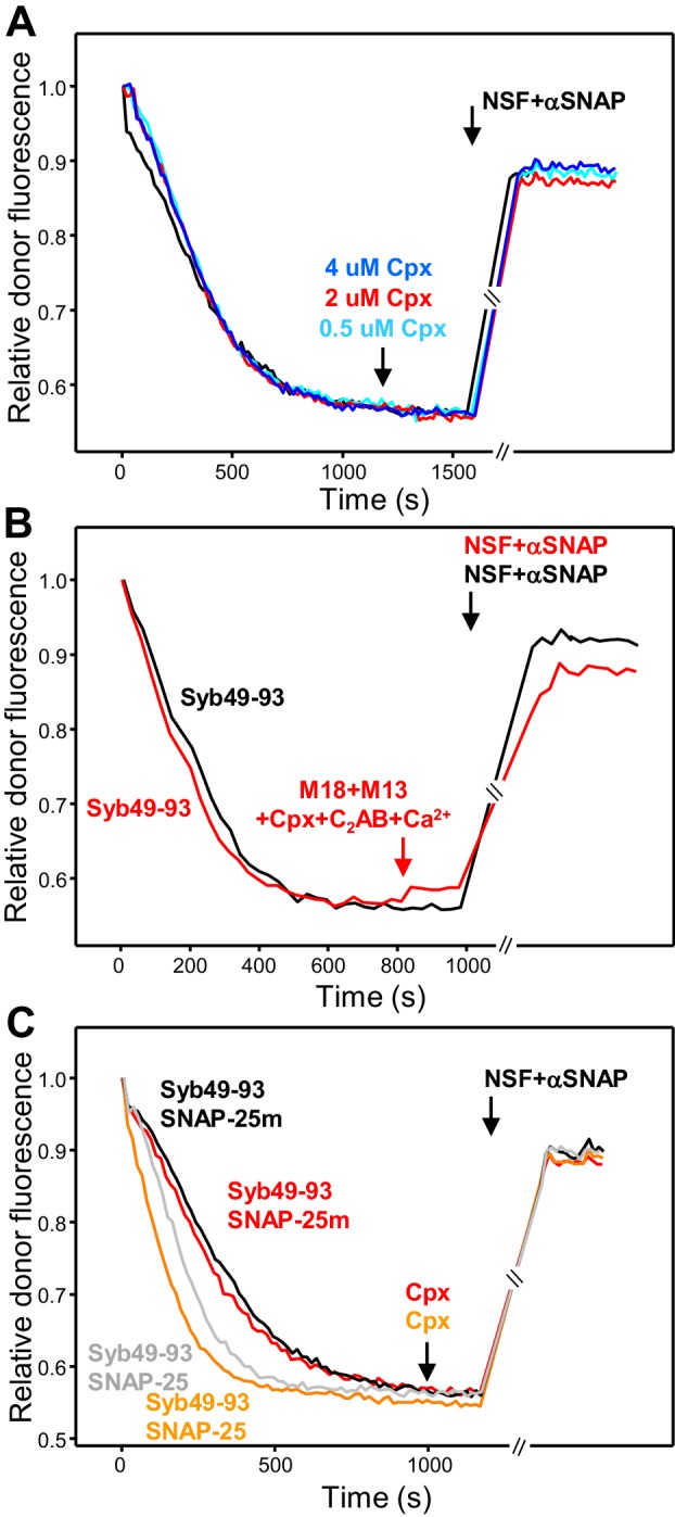 Figure 6—figure supplement 1.