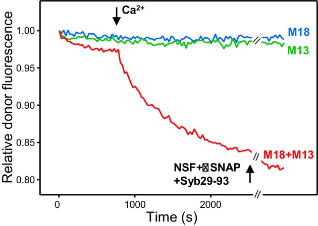 Figure 4—figure supplement 1.