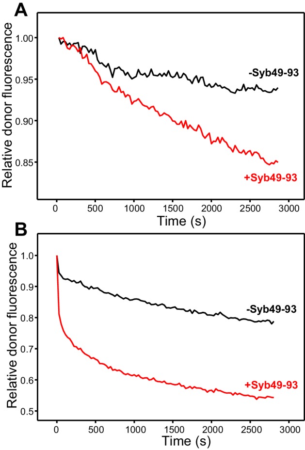 Figure 2—figure supplement 2.