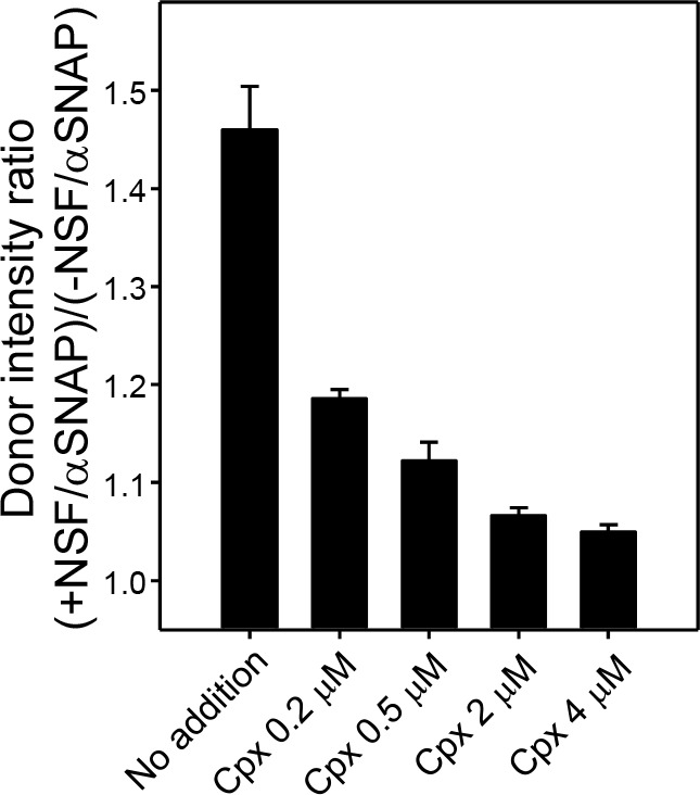 Figure 5—figure supplement 5.