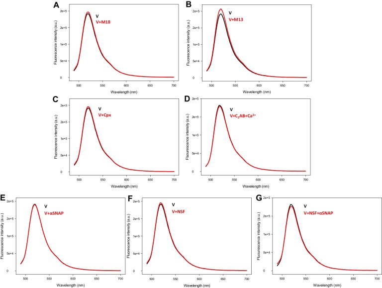 Figure 2—figure supplement 1.