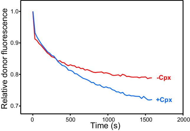 Figure 3—figure supplement 1.