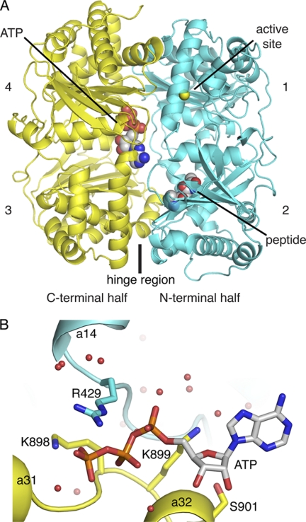 FIGURE 2.