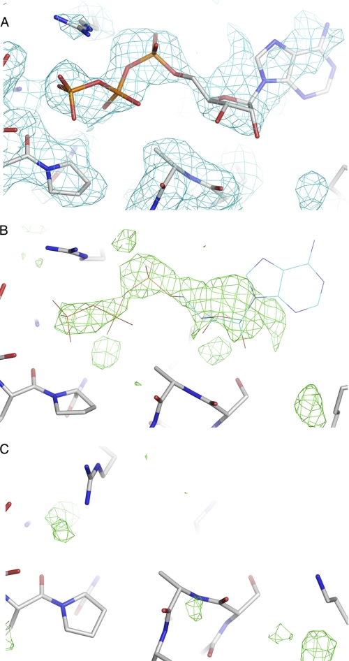 FIGURE 1.