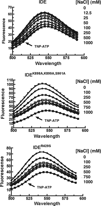 FIGURE 7.