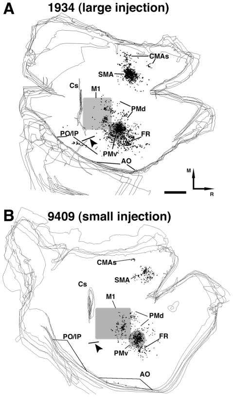 Fig. 4