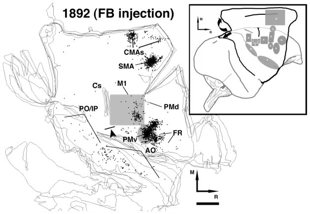 Fig. 3