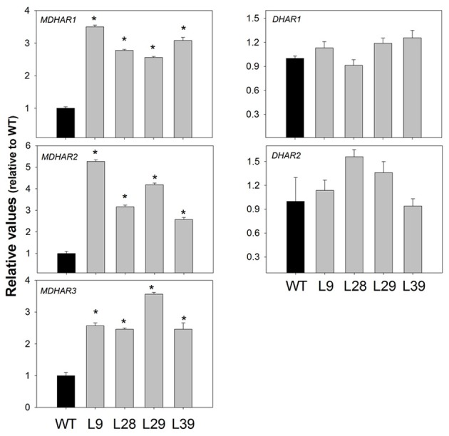 Figure 7