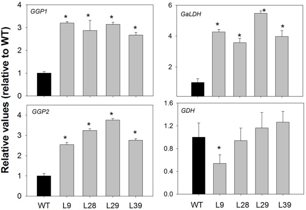 Figure 6