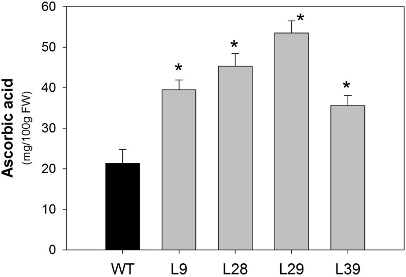 Figure 5