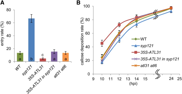 Figure 6.