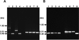 FIG 1