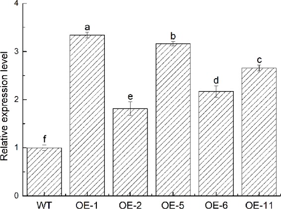 Figure 5