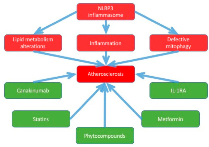 Scheme 2