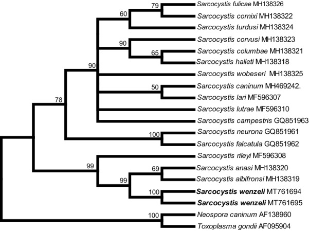 Fig. 4