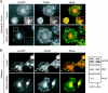 FIG. 3.