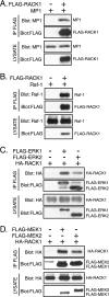 FIG. 1.