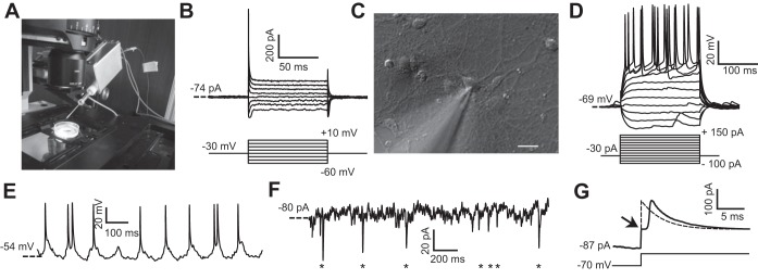 Fig. 5.