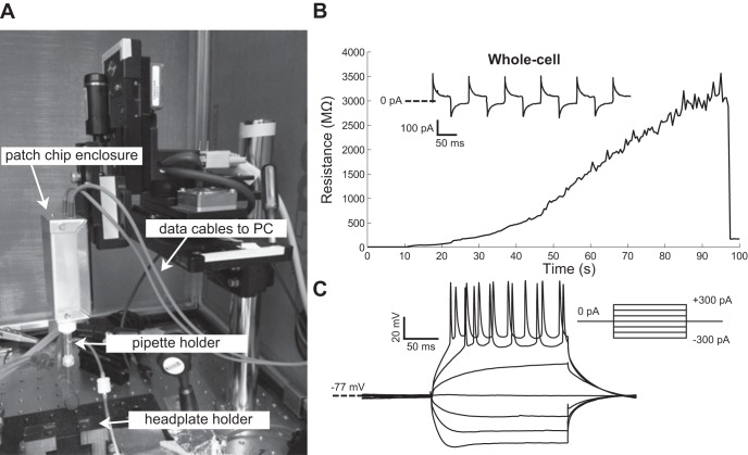 Fig. 6.