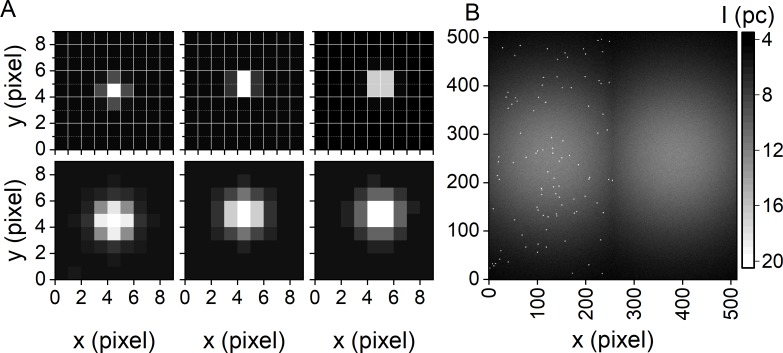 Fig 3