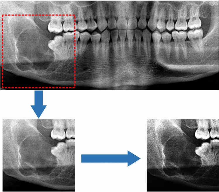 Fig. 1