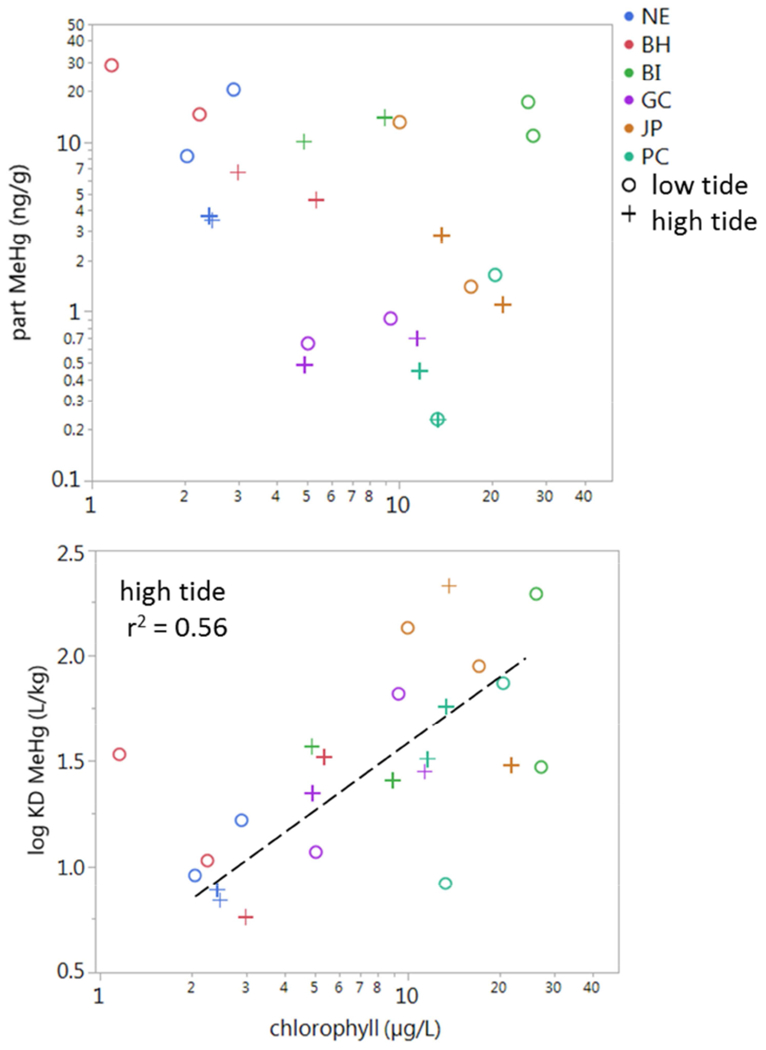 Figure 6)