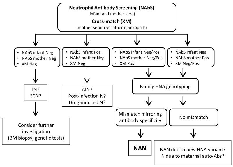 Neonatal Alloimmune Neutropenia Diagnosis And Management Of 31 Italian